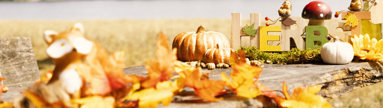 Herbstdeko Herbstdeko