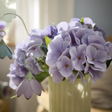 Hortensie Sophia, flieder, 35 cm