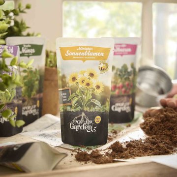 Pflanzsaat im Beutel, Sonnenblume, 0.3 l
