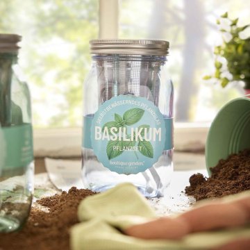 Pflanzset im Glas, Basilikum