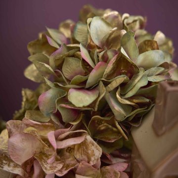 Hortensie Herbst, grün/gold, 55 cm