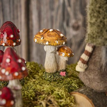 Mini-Pilz Punkte, orange/rund, 6.2 cm