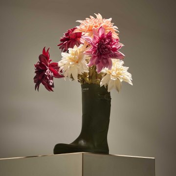 Dahlie Herbst, Antik/altrosa, 74 cm
