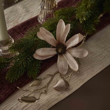 Magnolie, 1 Blüte, champagner, 49 cm