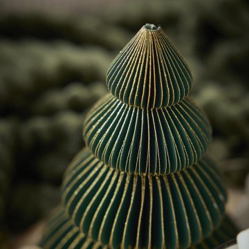 Deko-Baum Wabe, dunkelgrün/4 Stufen, 15 cm