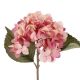 Hortensie Herbst, pink, 46 cm