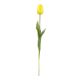 Tulpe Edel, gelb, 48 cm