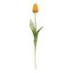 Tulpe Edel, orange, 48 cm