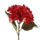Hortensie Herbst, rot, 46 cm