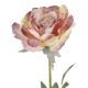 Rose Alice, apricot, 70 cm