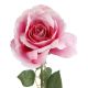 Rose Alice, pink, 70 cm