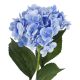 Hortensie Isabella, hellblau, 45 cm