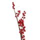 Beerenzweig, rot, 70 cm