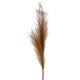 Zweig Pampasgras, braun, 50 cm