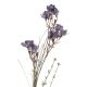 Wildblumenzweig Beeren, Blumen/dunkellila, 75 cm