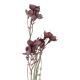 Wildblumenzweig Beeren, Blumen/lila, 75 cm