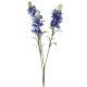 Schopflavendel, 3 Blüten, blau, 65 cm