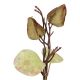 Deko-Stecker Physalis, grün, 16 cm