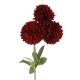 Pompom Herbst mit 3 Blüten, weinrot, 43 cm