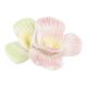 Porzellan-Blüte, rosa/gelb, 6 cm