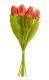 Strauß Tulpe, 6 Blüten, orange, 40 cm