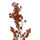 Zweig Minibeeren, rot, 70 cm