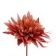 Dahlie Herbst, dunkelorange, 27 cm