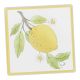 Untersetzer Zitrone, eckig/Zweig, 10 cm