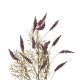 Rispenzweig Herbst, lila, 80 cm