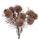 Strauß Minipompoms, lila, 24 cm