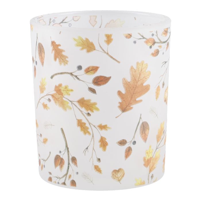 2000740014426_01_O_955604.jpg