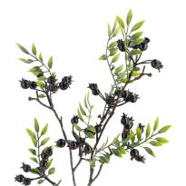 Zweig Blaubeeren, schwarz, 59 cm