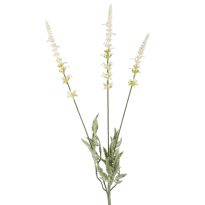 Lavendel, 3 Blüten, weiß, 66 cm