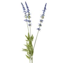 Lavendel, 3 Blüten, blau, 66 cm