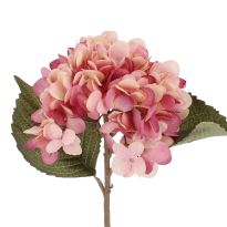 Hortensie Herbst, pink, 46 cm