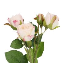 Rose Alina, 3 Blüten/rosa, 38 cm