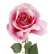 Rose Alice, pink, 70 cm