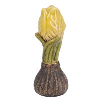 Blumenzwiebel, Knospe/gelb, 11.5 cm