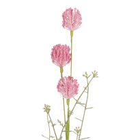 Zweig Wildblumen, Pompom/pink, 45 cm
