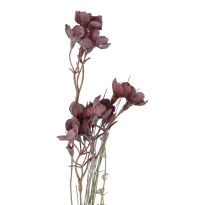 Wildblumenzweig Beeren, Blumen/lila, 75 cm