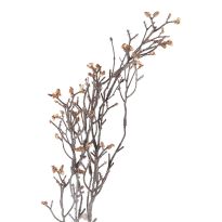 Wildblumenzweig Beeren, Mini/hellbraun, 75 cm