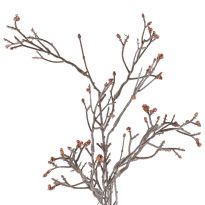 Wildblumenzweig Beeren, Mini/braun, 75 cm