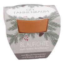 Pflanzset Tannenbaum, Mini/Oh Tannenbaum
