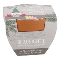 Pflanzset Tannenbaum, Mini/Wichtel