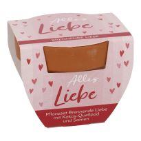 Pflanzset Mini, Alles Liebe