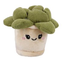 Deko-Topfpflanze mit Gesicht, Sukkulente, 11 cm