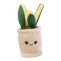 Deko-Topfpflanze mit Gesicht, Schwiegermutterzunge, 16 cm