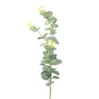 Zweig Eucalyptus, 60 cm