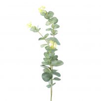 Zweig Eucalyptus, 60 cm