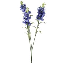 Schopflavendel, 3 Blüten, blau, 65 cm